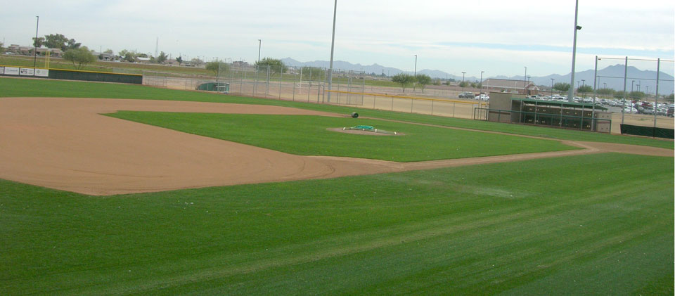 Campo Verde High School Traditional Infield Mix