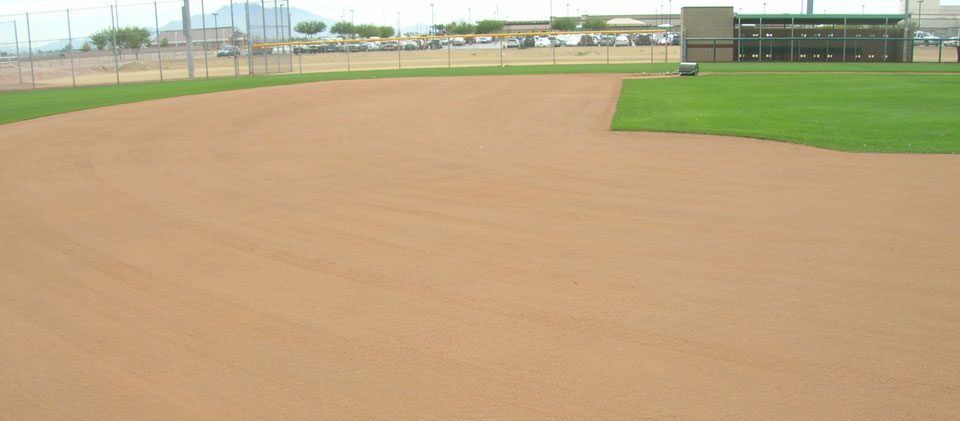 Campo Verde High School Traditional Infield Mix